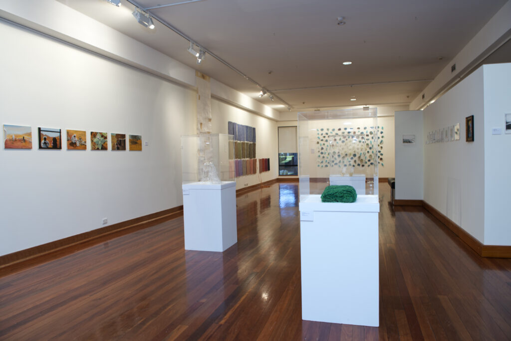 Transit, Macquarie University Art Gallery, 2013. Curated by Meredith Brice